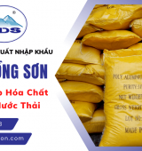 daidongson-don-vi-nhap-khau-va-cung-cap-hoa-chat-xu-ly-nuoc-uy-tin-tai-tphcm-1-8577.png